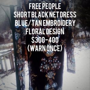 Free People mini Embroidered Net Dress